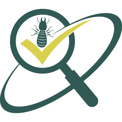 Premium Termite Inspection & Control | Melbourne’s Trusted Experts